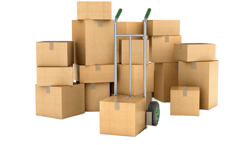 Bulk Orders